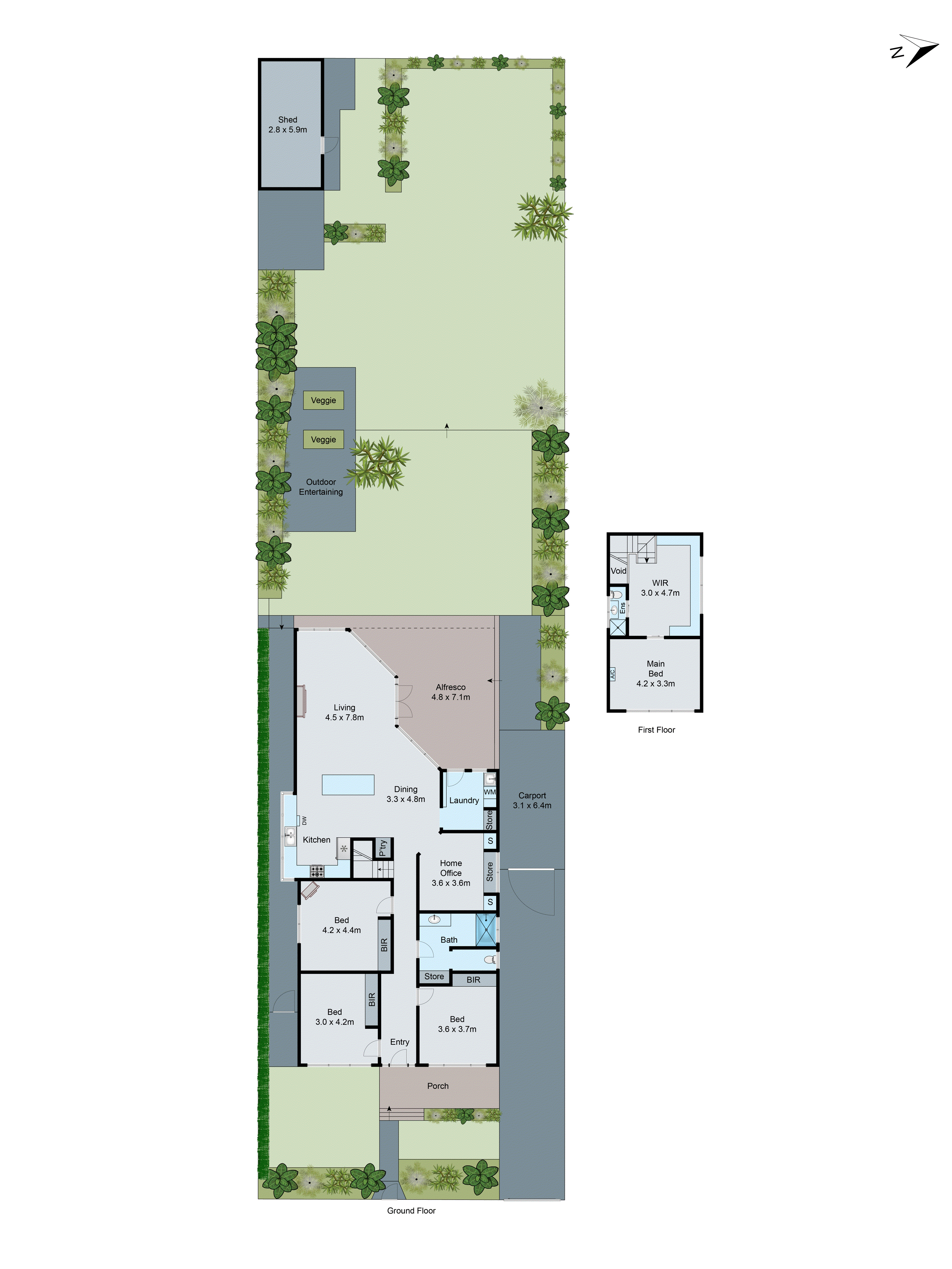 19 Shannon Avenue, Hamlyn Heights VIC 3215 - Floorplan
