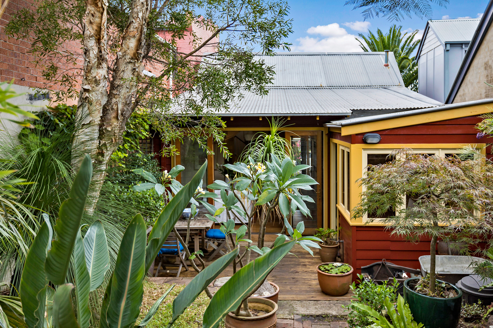 19 Theodore Street, Balmain NSW 2041