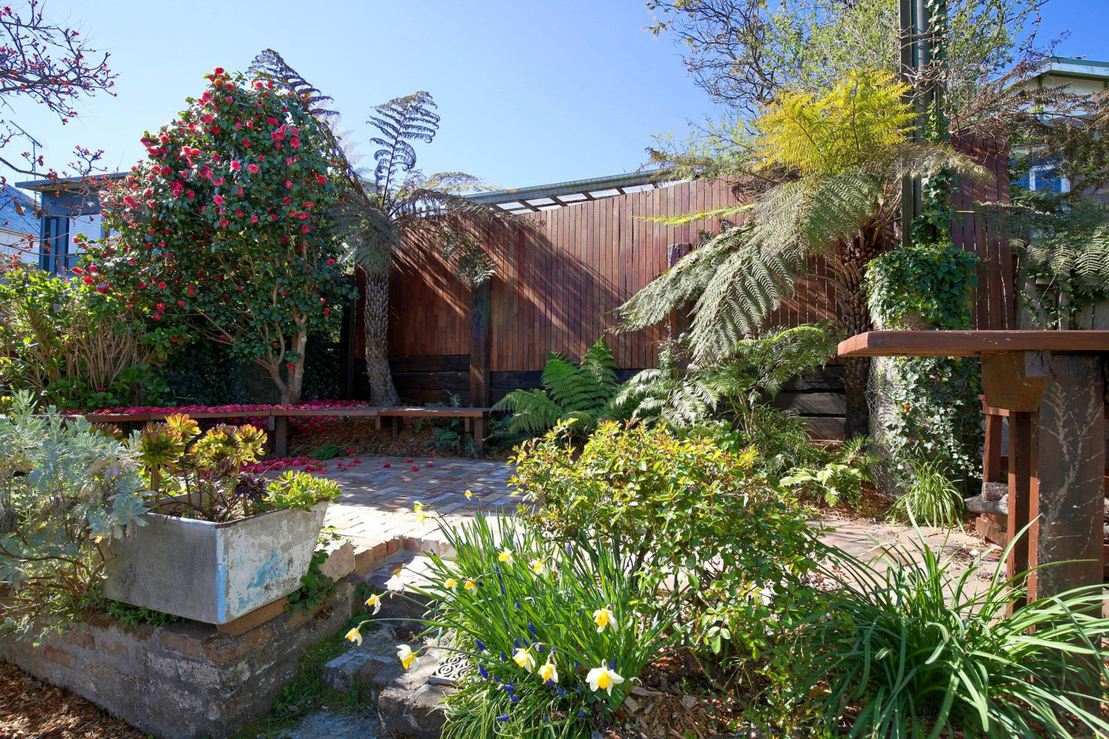 19 Wells Street Katoomba Nsw 2780