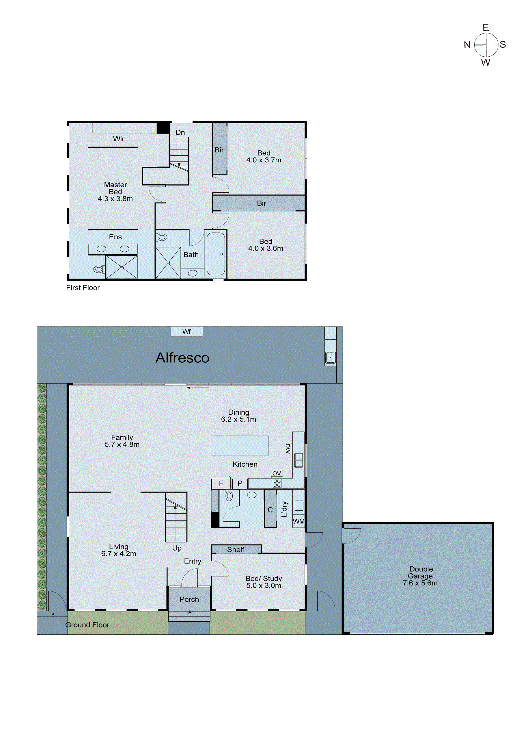1C Milroy Street, Brighton East VIC 3187 - Floorplan