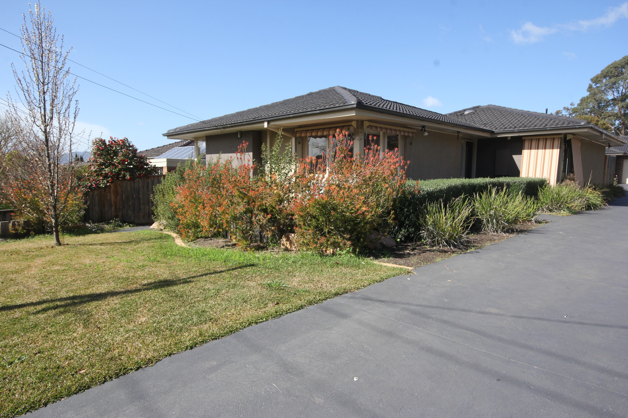 20 Major Street, Ringwood
- Print Image 1