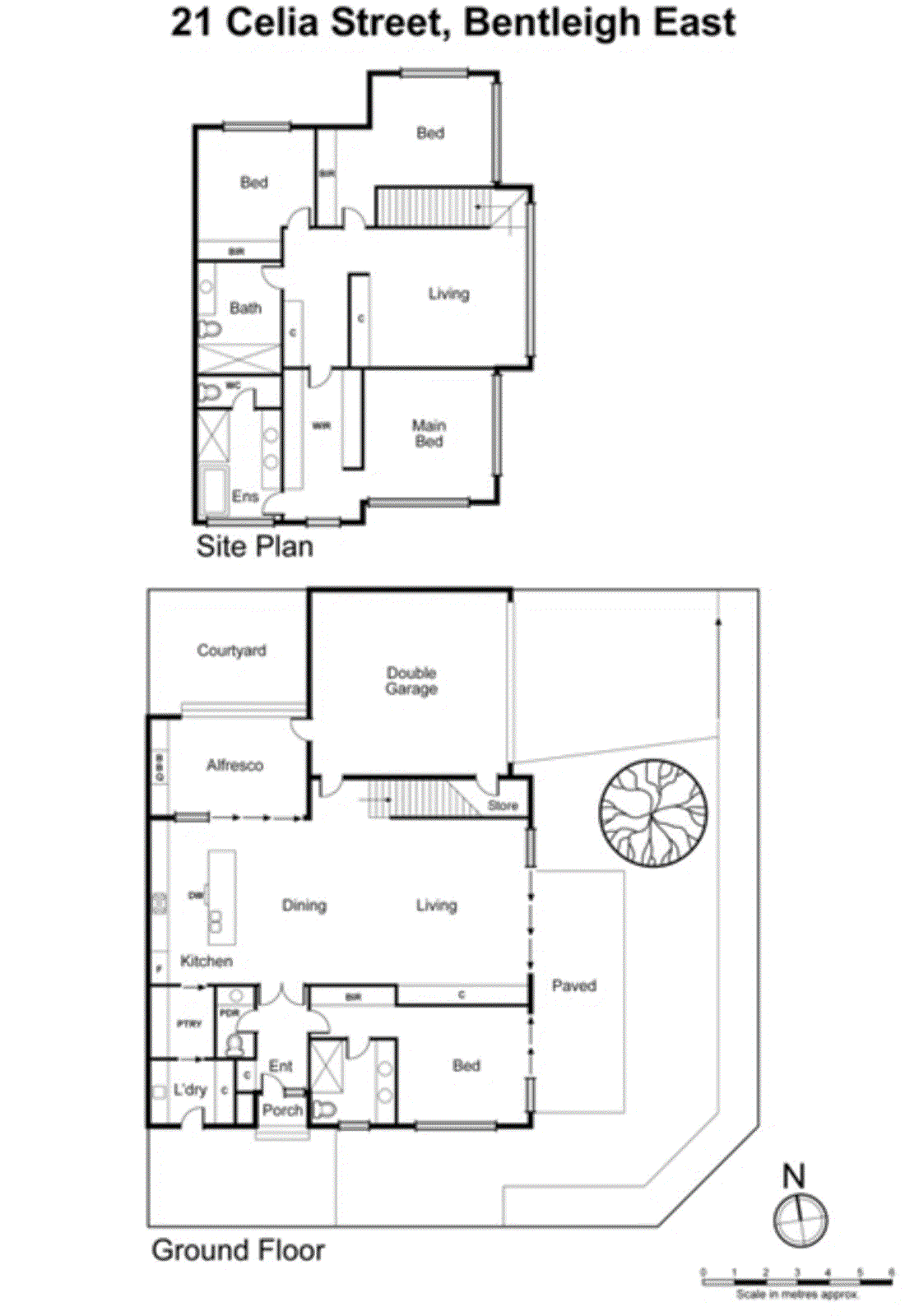 21 Celia Street, Bentleigh East VIC 3165 - Floorplan