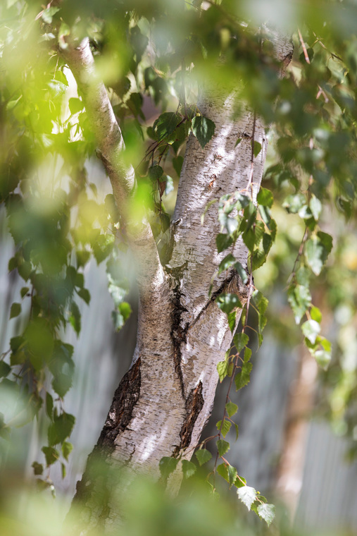 2/2 Monaro Road Kooyong - Photo 2 2/2 Monaro Road Kooyong - Photo 2