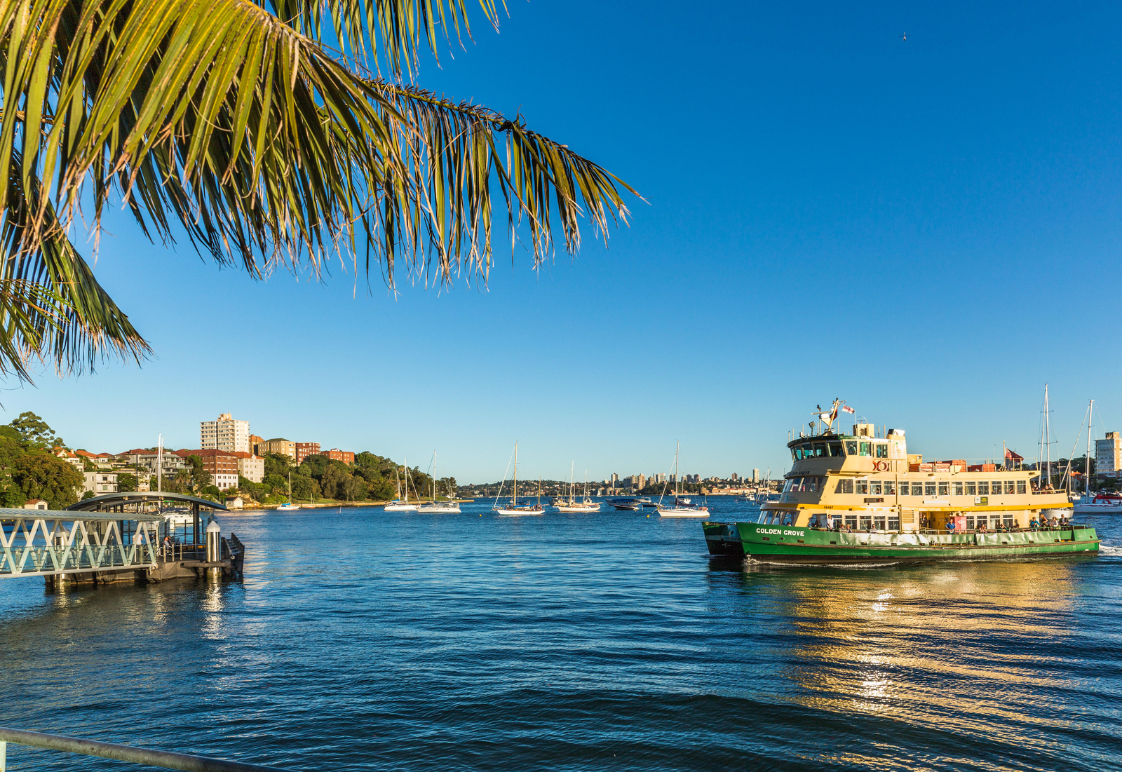 2/3 Hardie Street, Neutral Bay NSW 2089