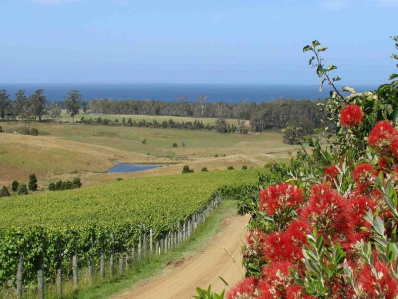 230 Bream Creek Road, BREAM CREEK, TAS, 7175