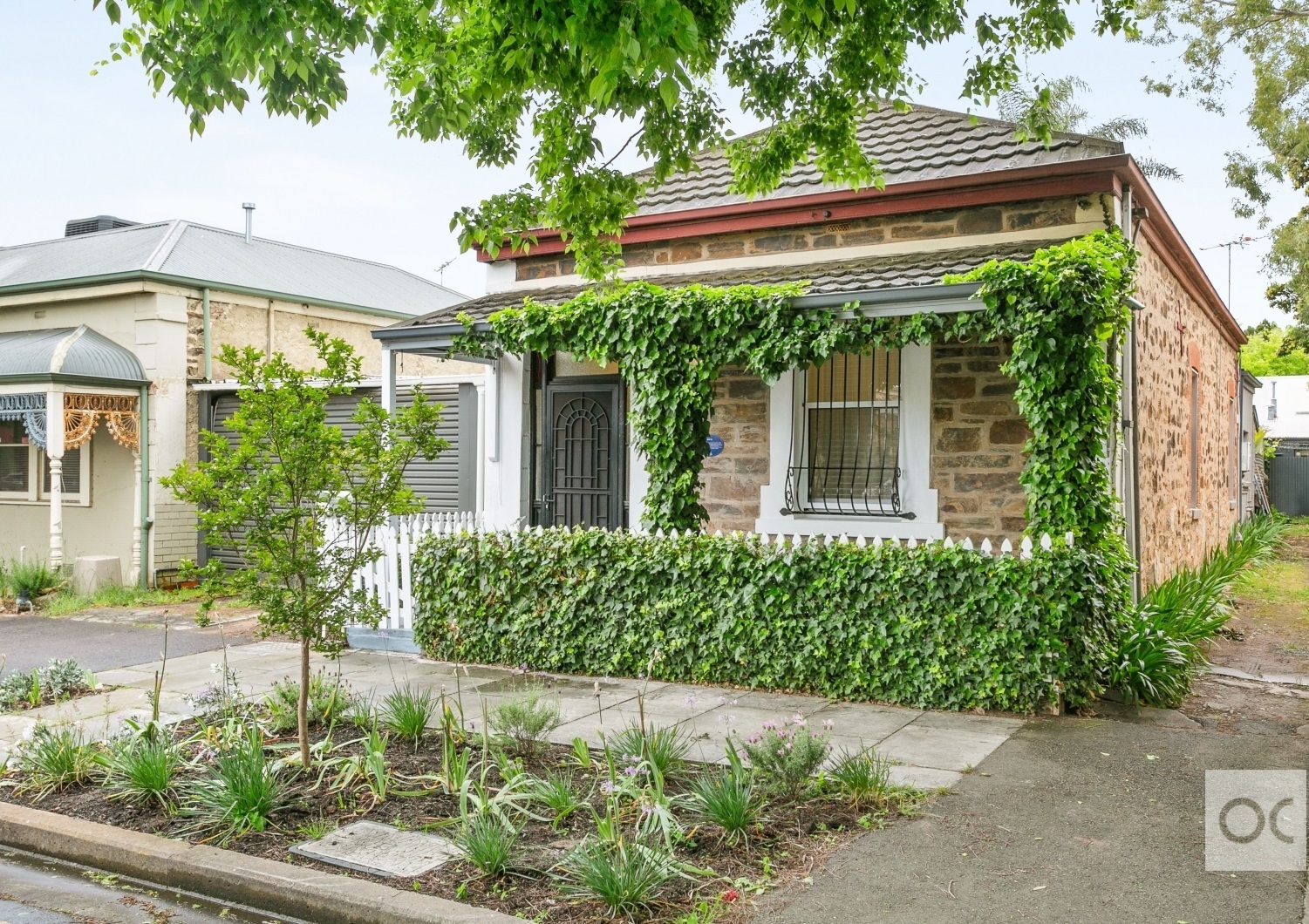 24 McLaren Street