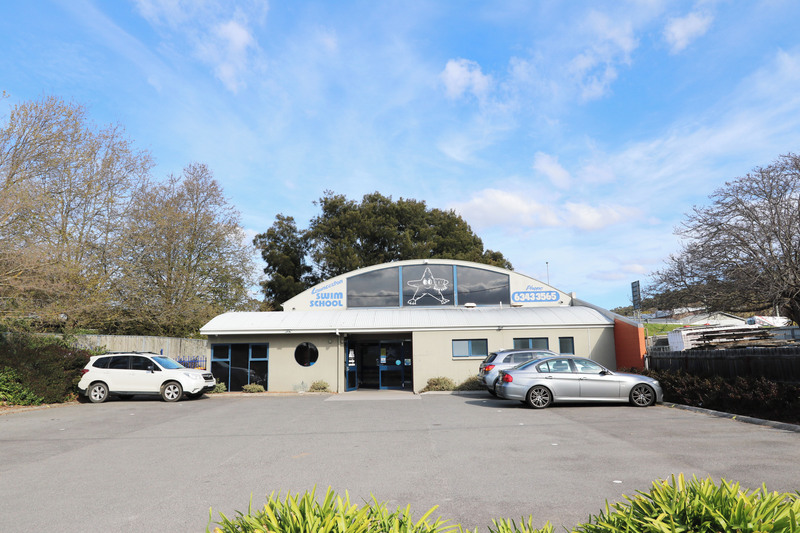 25 Shamrock Street, LAUNCESTON, TAS, 7250
