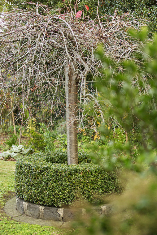 260 Union Road Balwyn - Photo 3 260 Union Road Balwyn - Photo 3