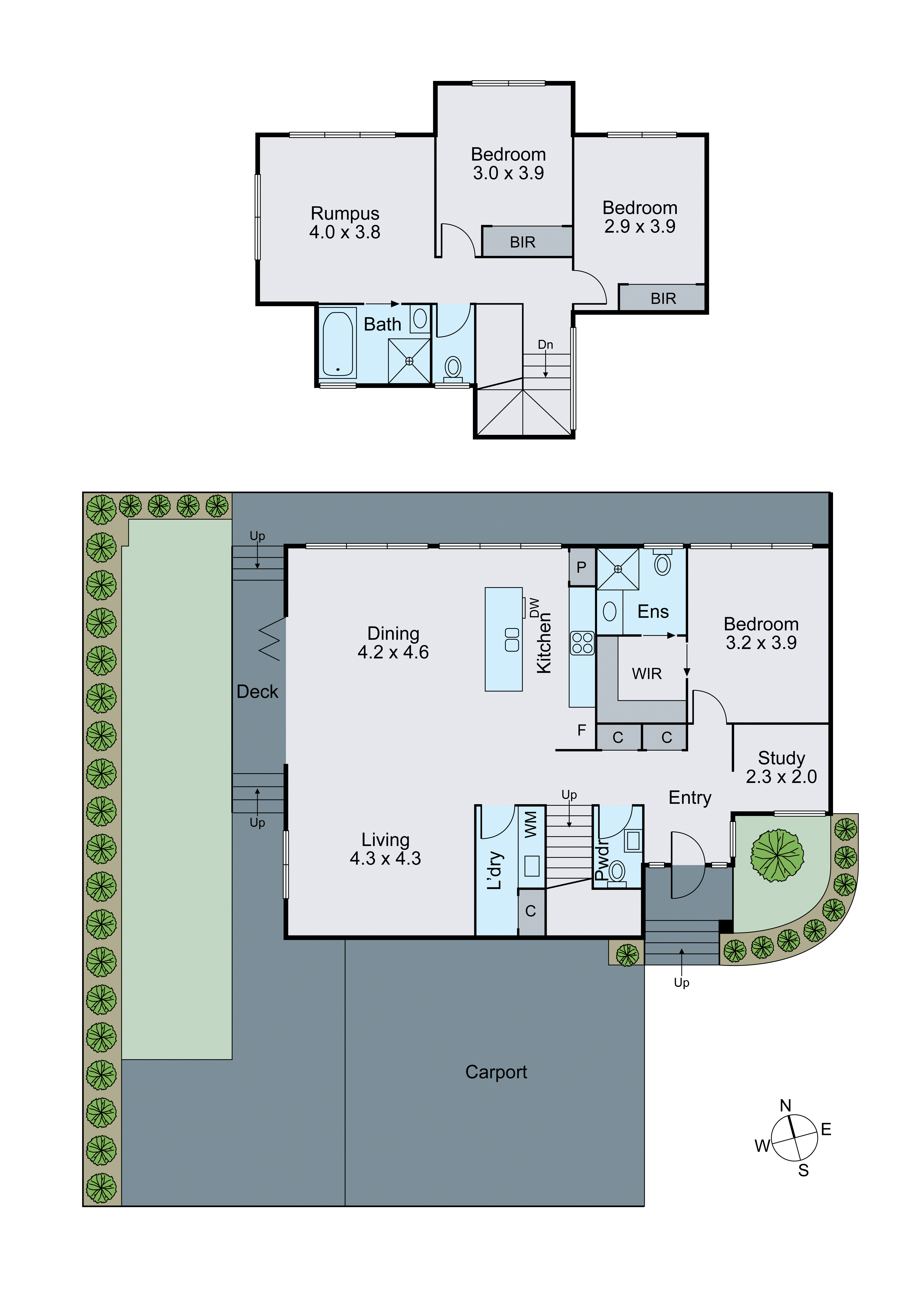 2/87 Ashwood Drive, Ashwood VIC 3147 - Floorplan