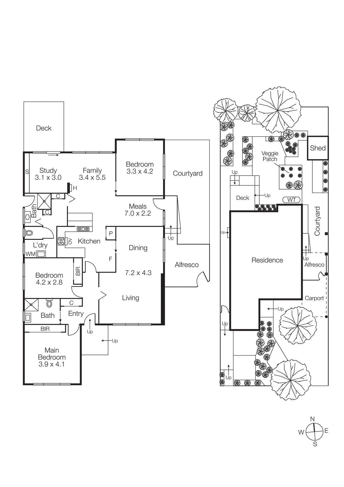3 Cannes Grove, Beaumaris VIC 3193 - Floorplan