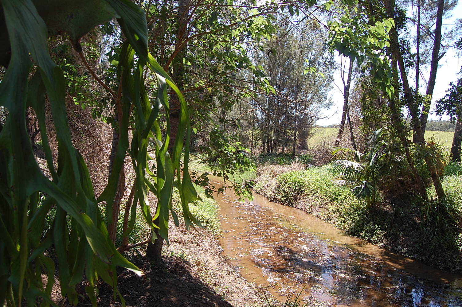 30 Hogarth Range Road, MONGOGARIE via  CASINO 9