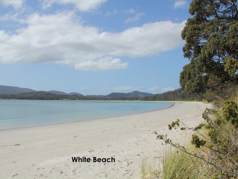 309 White Beach Road, WHITE BEACH, TAS, 7184