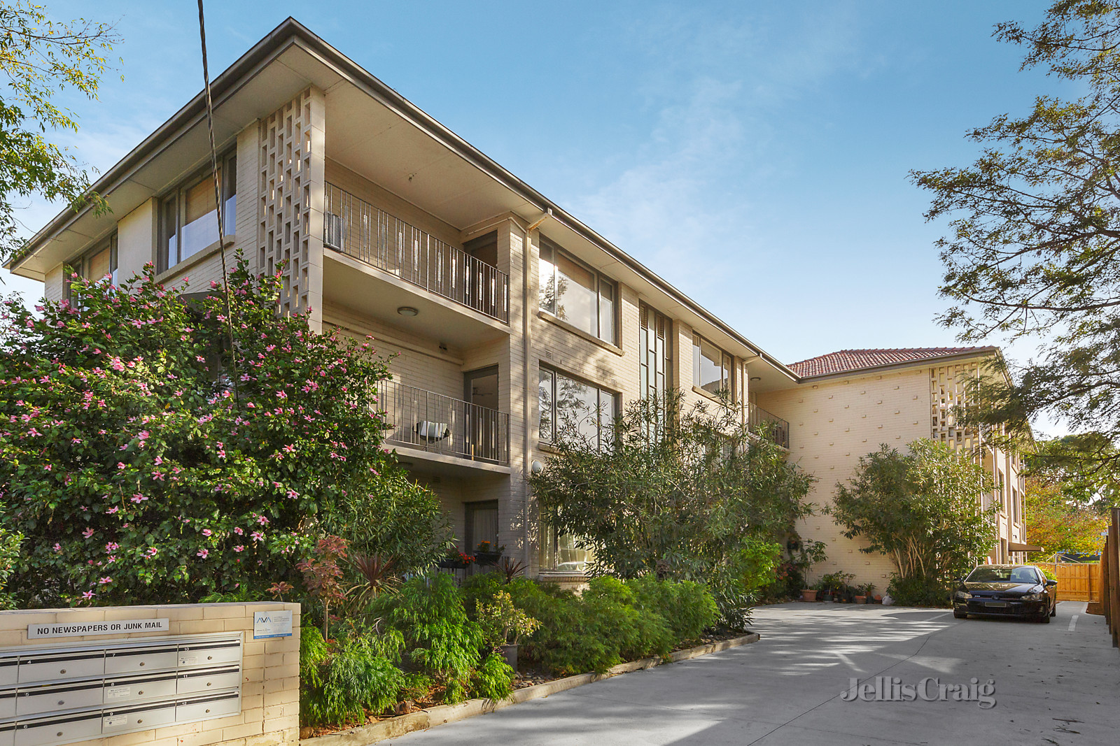 3/1 The Avenue, Windsor
- Print Image 1
