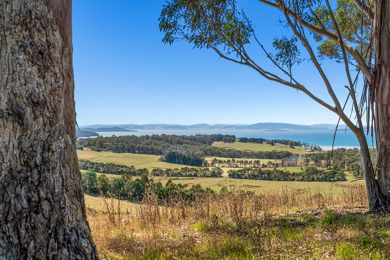 310 Cooks Road, Nubeena, TAS, 7184