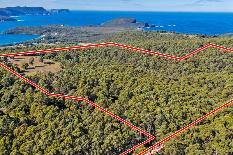 312 Lookout Road, Port Arthur, TAS, 7182