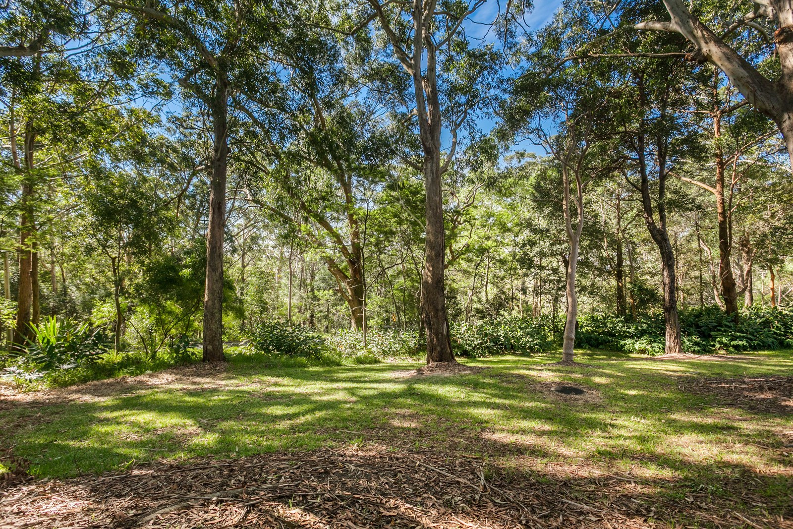 32 Southview Avenue, Stanwell Tops NSW 2508