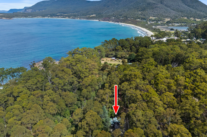 321 Pirates Bay Drive, Eaglehawk Neck, TAS, 7179