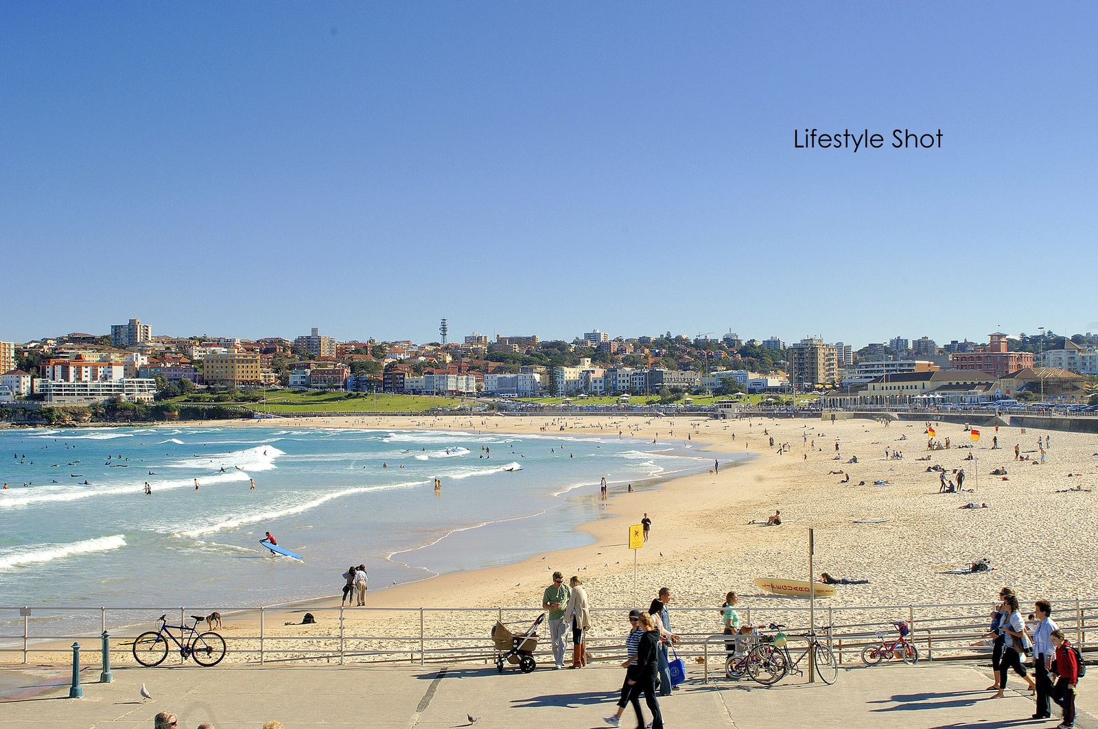 3/280 Campbell Parade, Bondi Beach NSW 2026