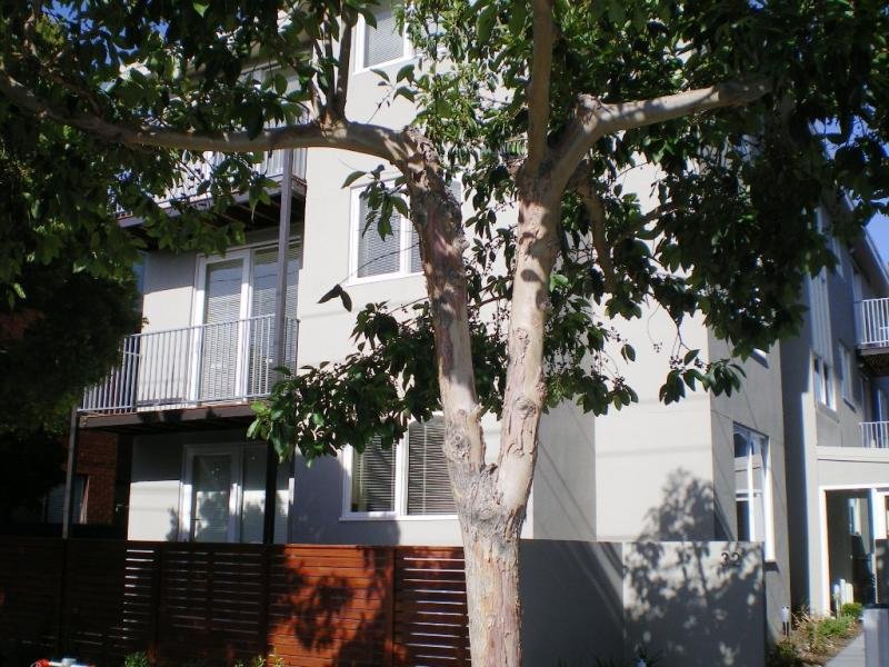 3/32 Davison Street, Richmond VIC 3121 