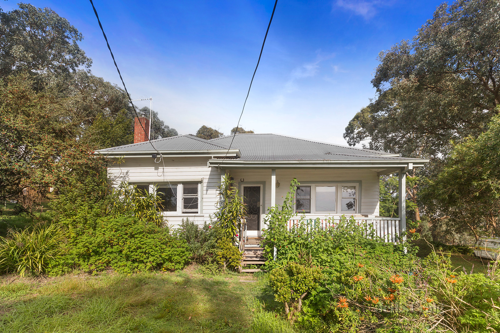 339 Yarra Road, Wonga Park, VIC 3115 Jellis Craig