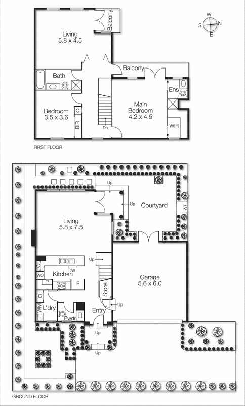 3/42 Willis Street, Hampton VIC 3188 - Floorplan