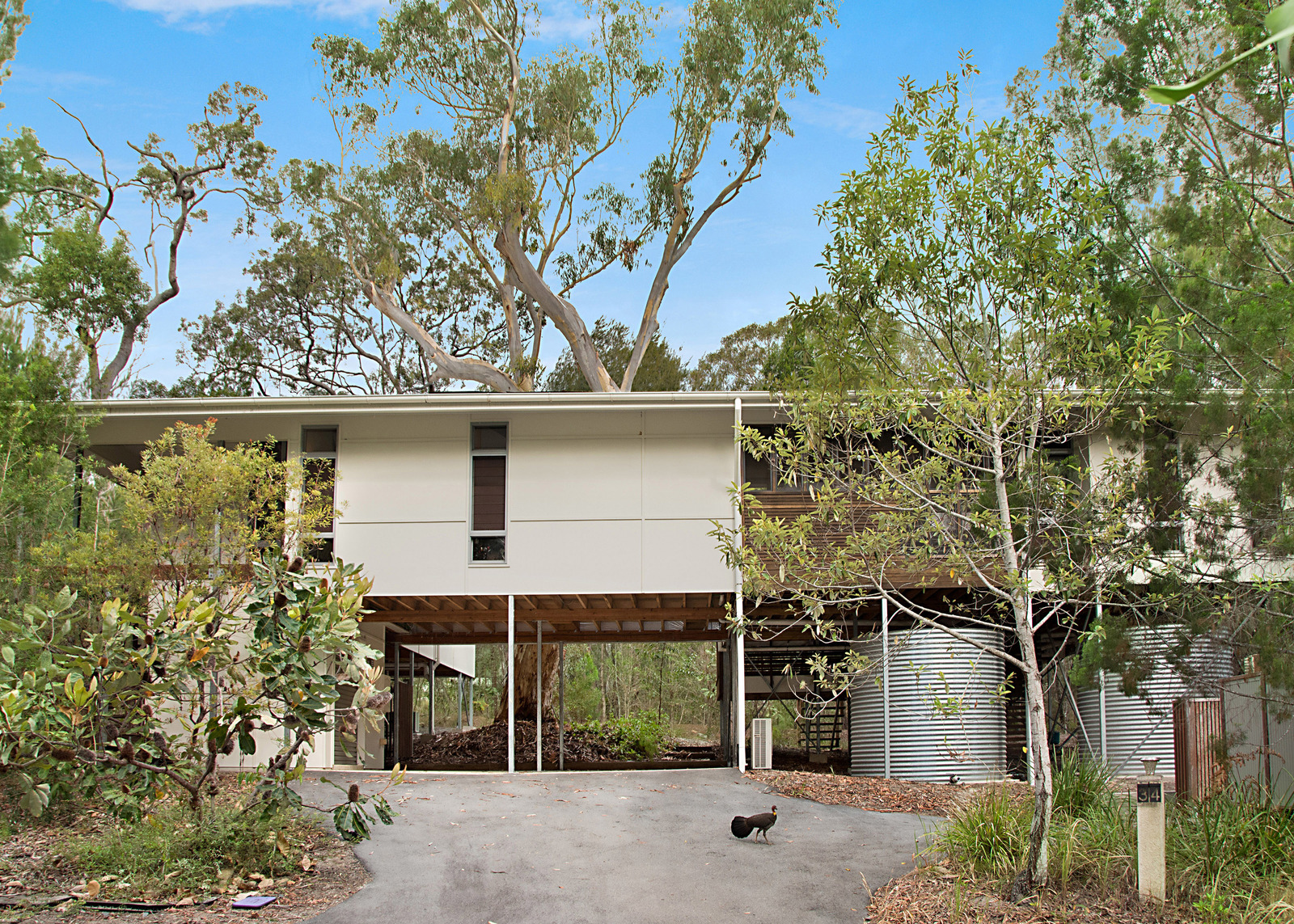 Noosa North Shore Beach Road Holiday Homes For Sale Noosa North Shore Beach Road Holiday Homes For Sale