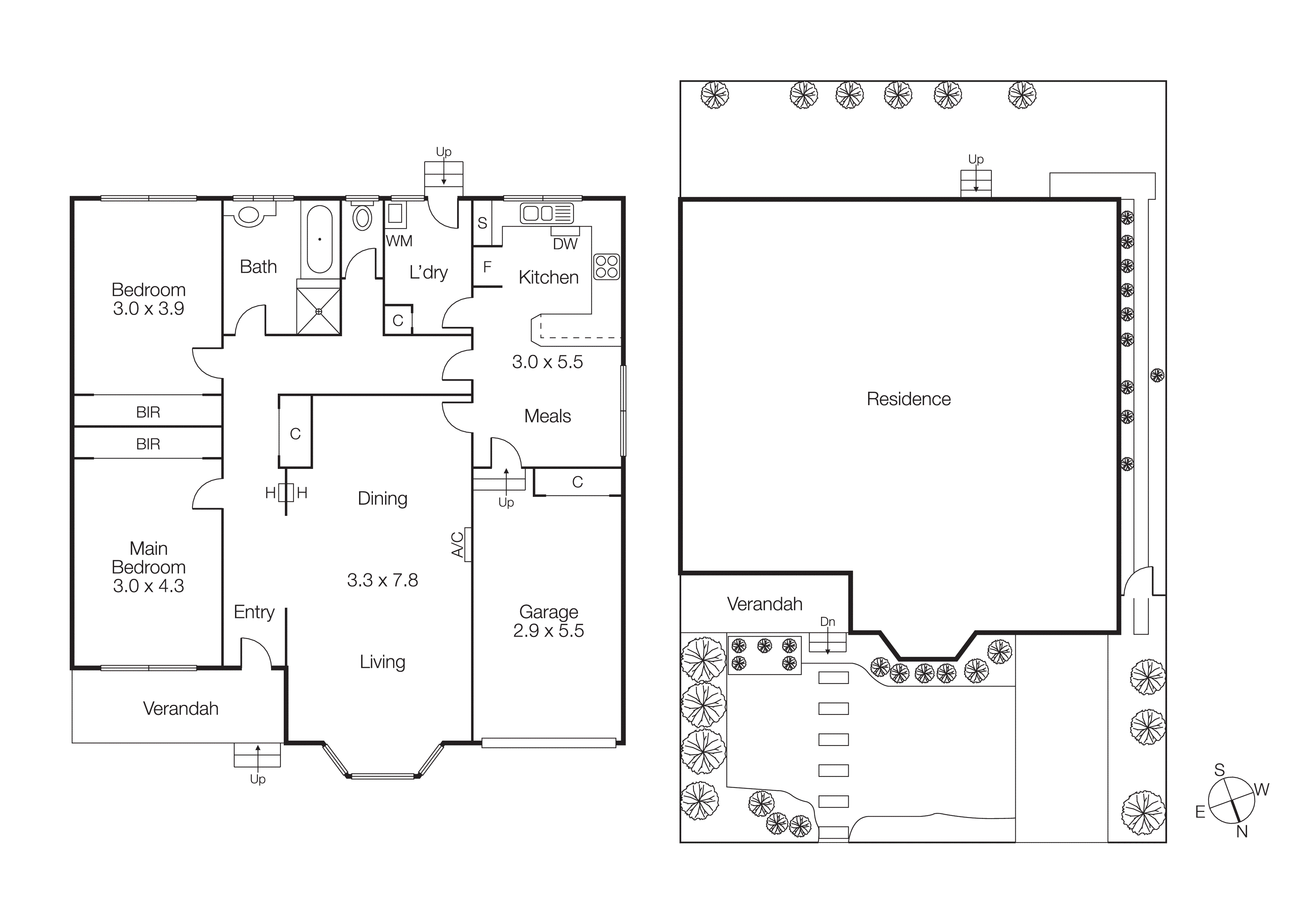 36 Pine Street, Brighton East VIC 3187 - Floorplan