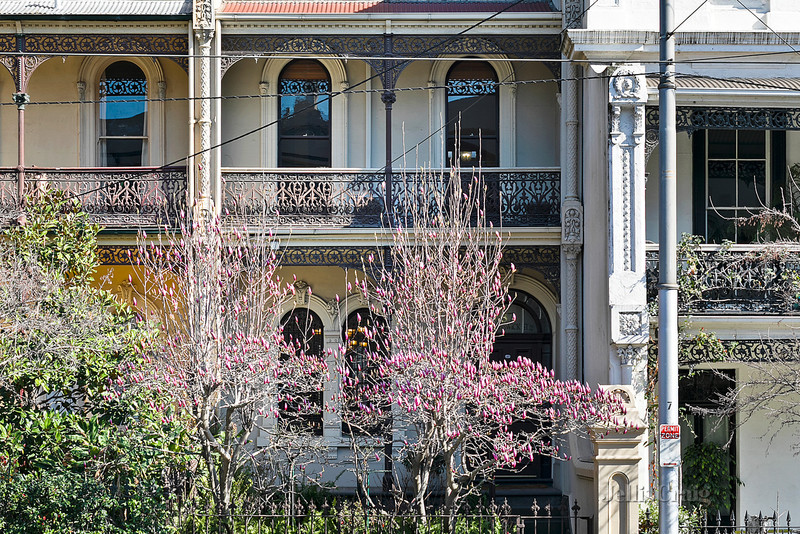 37 Brunswick Street