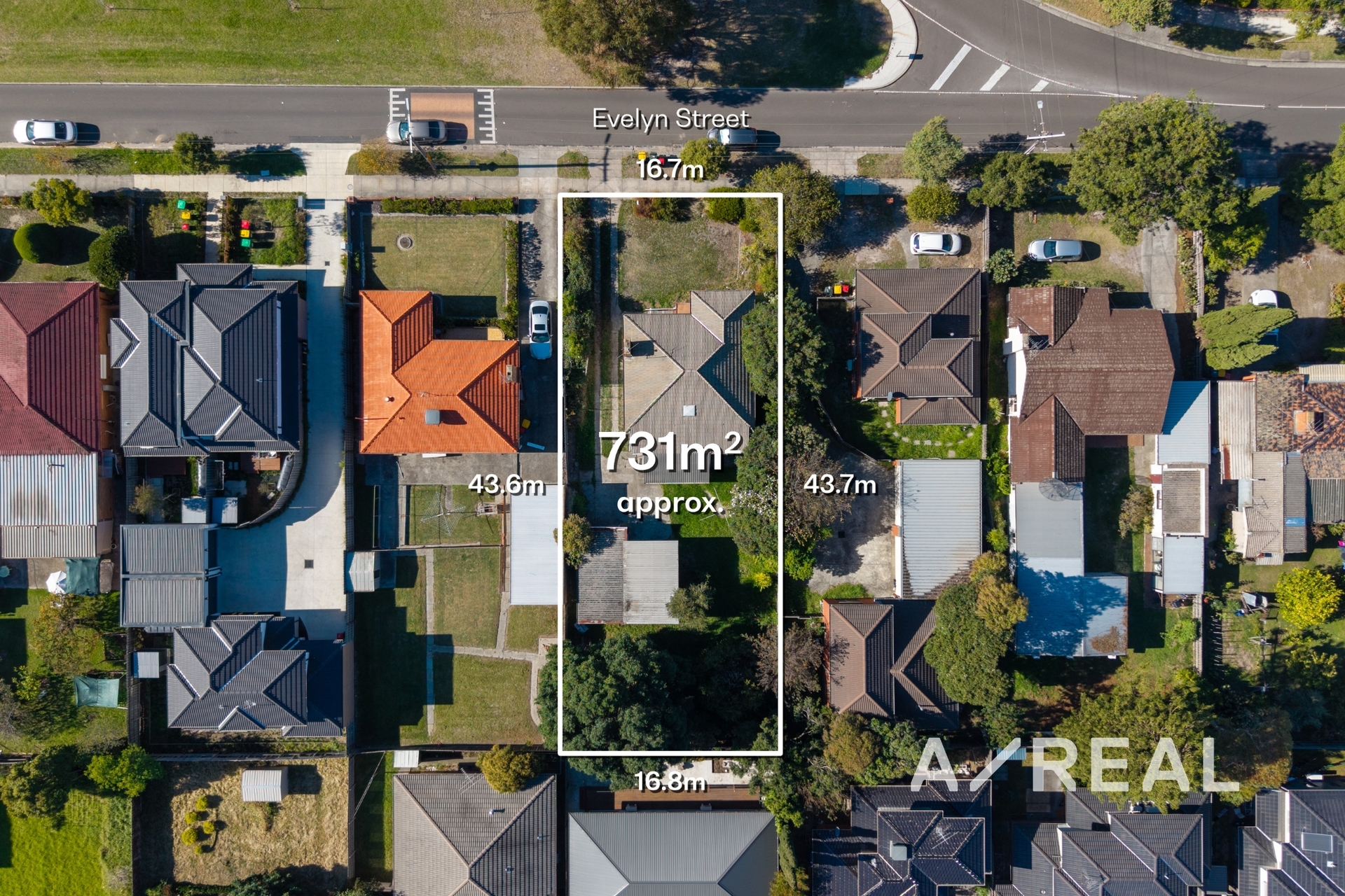 37 Evelyn Street, Clayton VIC 3168 