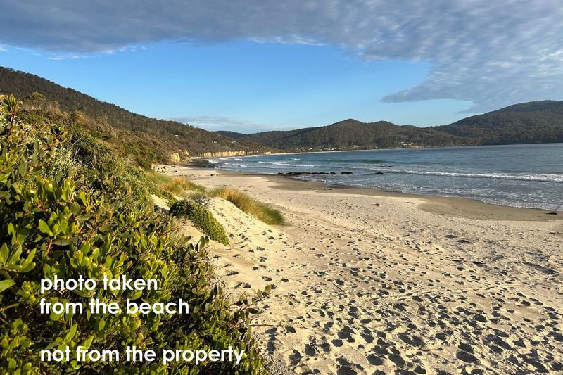 4 Caribbean Court, Eaglehawk Neck, TAS, 7179