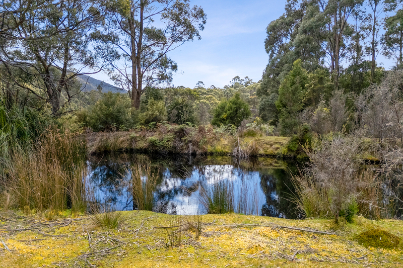 4 Radnors Road, Port Arthur, TAS, 7182