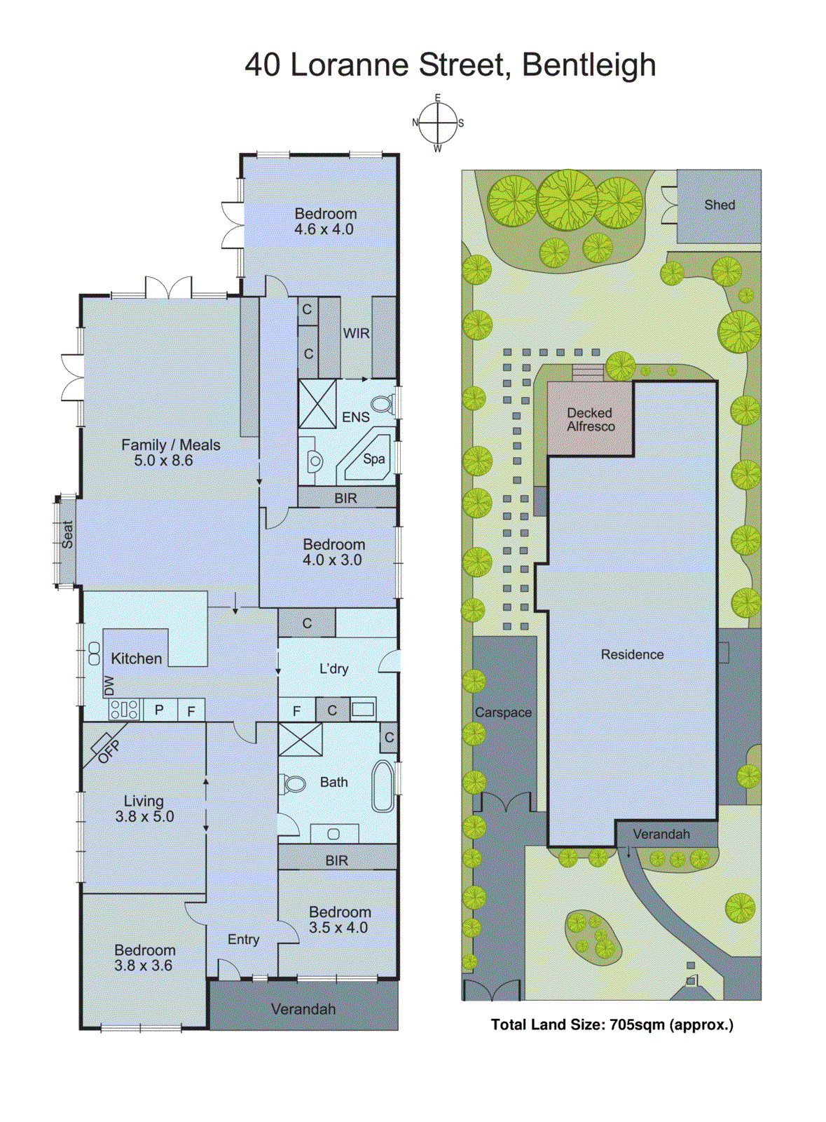 40 Loranne Street, Bentleigh VIC 3204 - Floorplan