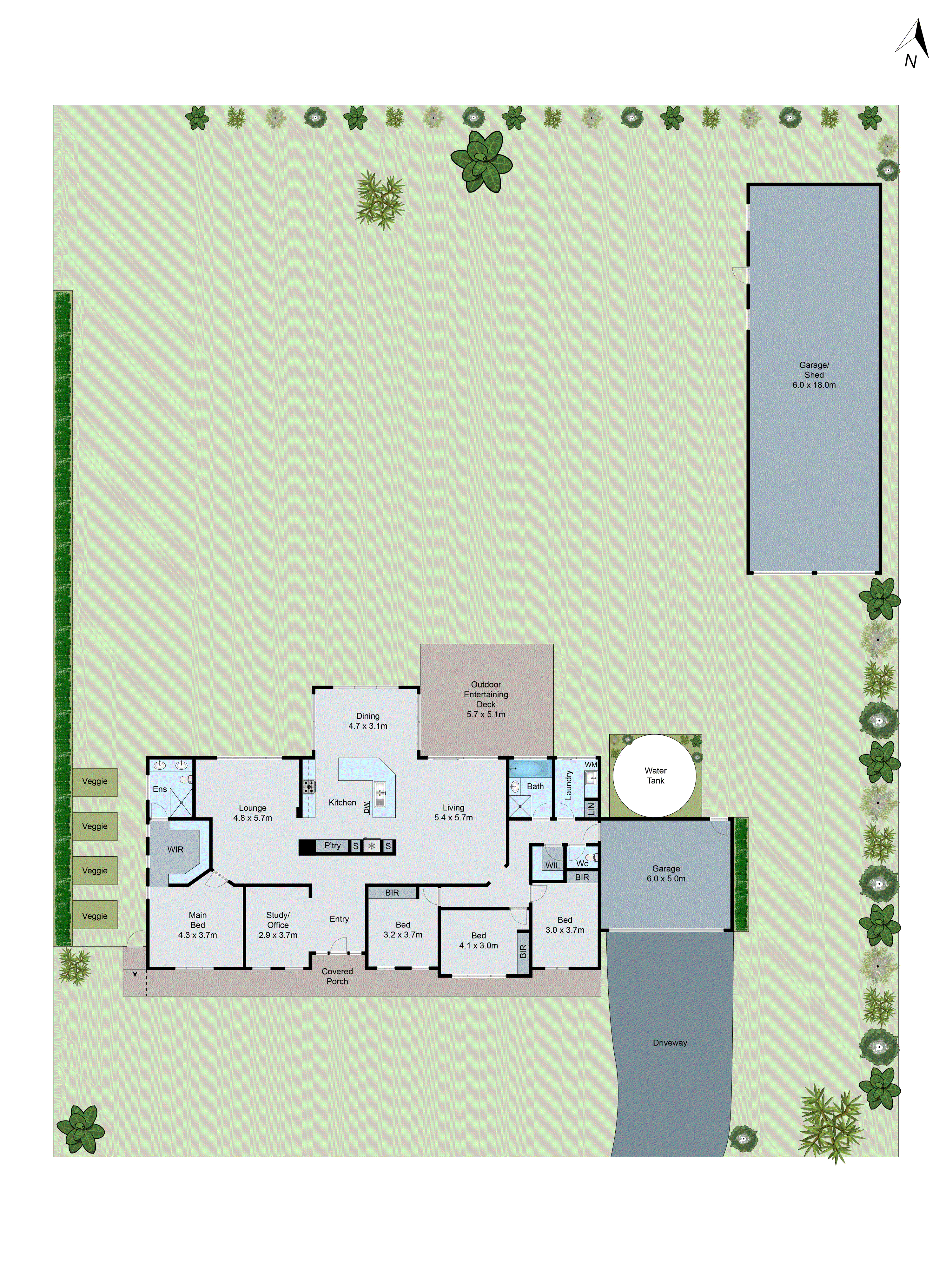 41 Mercer Street, Inverleigh VIC 3321 - Floorplan