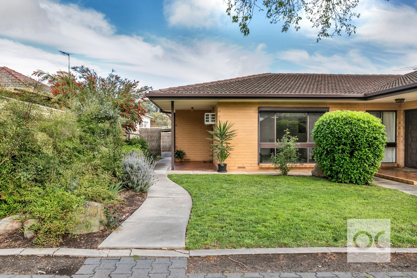4/19 Kitchener Street