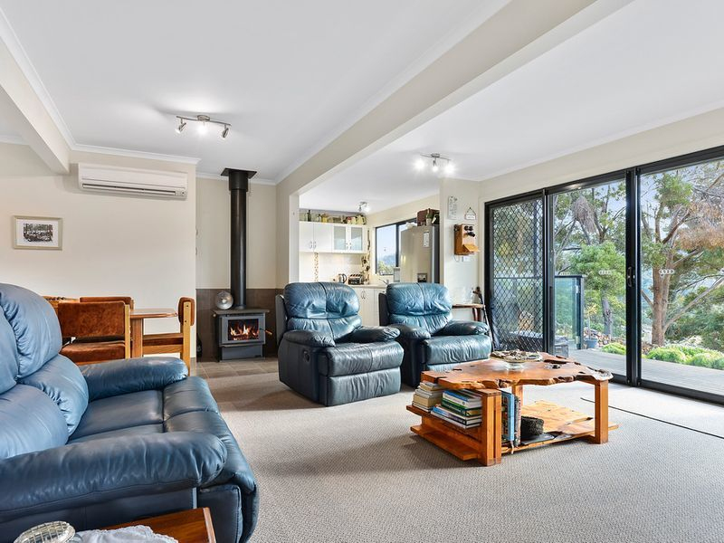 42 Ferntree Road, EAGLEHAWK NECK, TAS, 7179