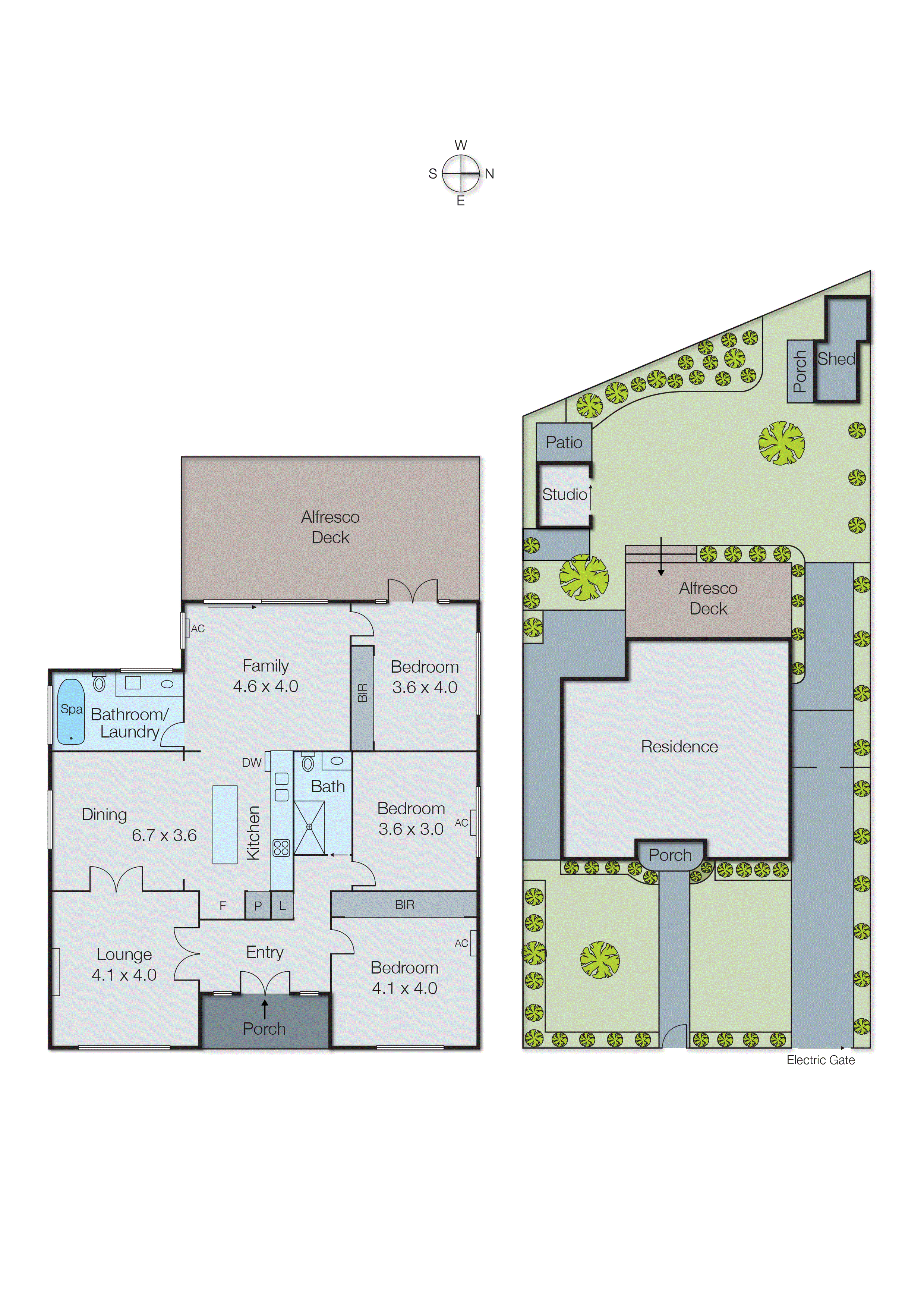 43 Warrigal Road, Mentone VIC 3194 - Floorplan