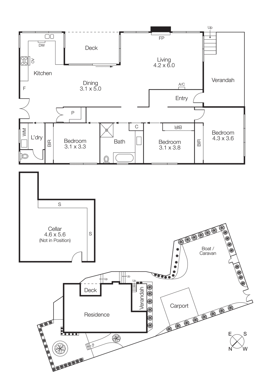 47A Tulip Street, Black Rock VIC 3193 - Floorplan
