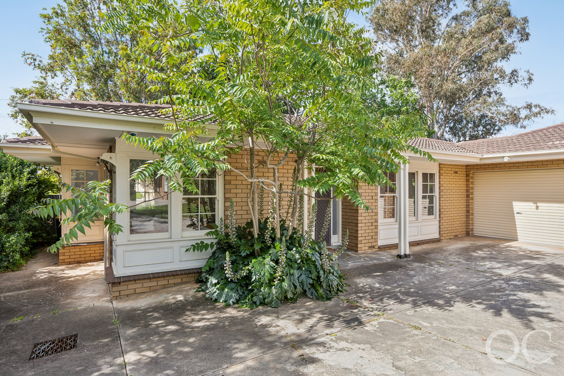 4/8 Montrose Avenue