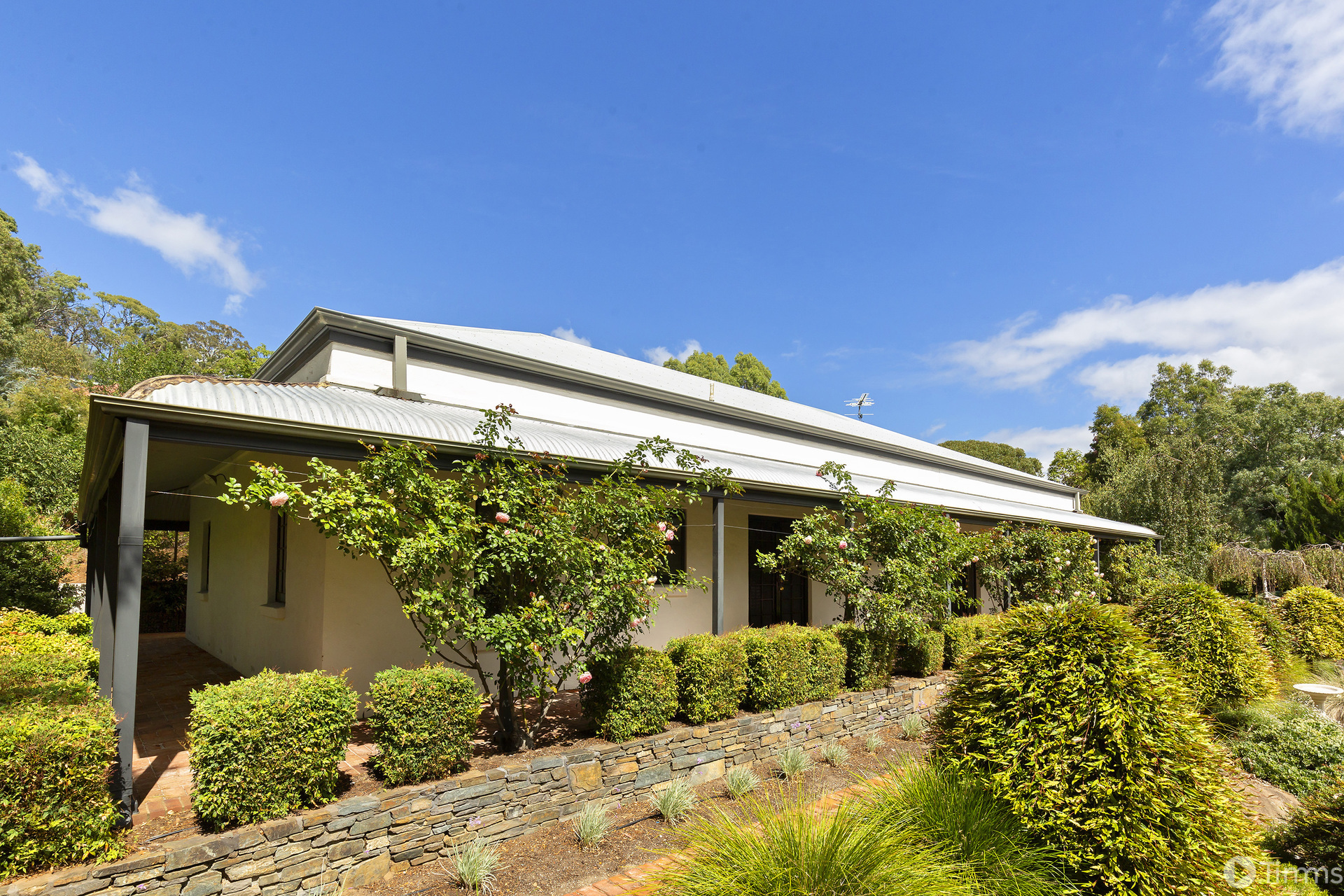 5 Buckley Crescent