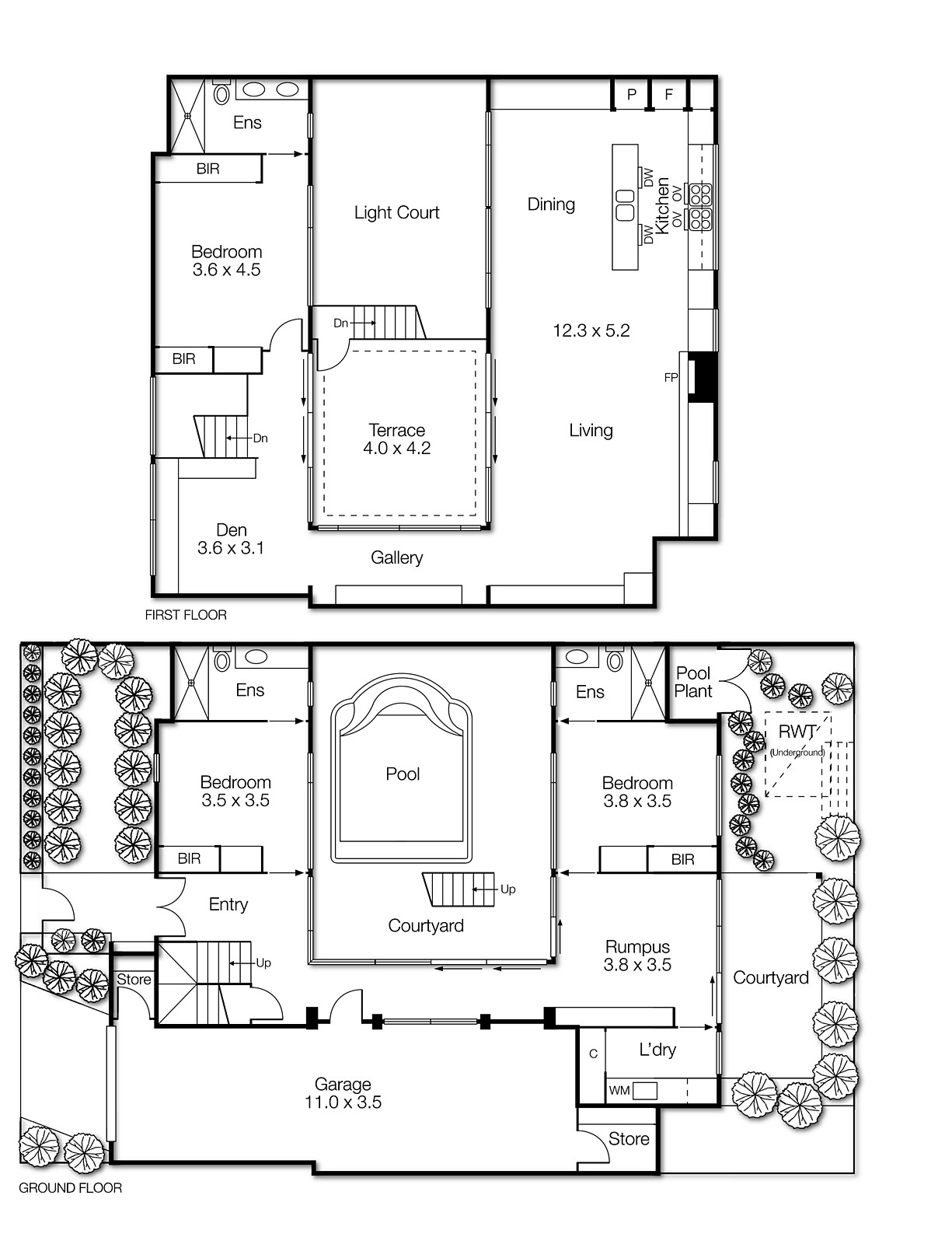 50 Middleton Street, Black Rock VIC 3193 - Floorplan