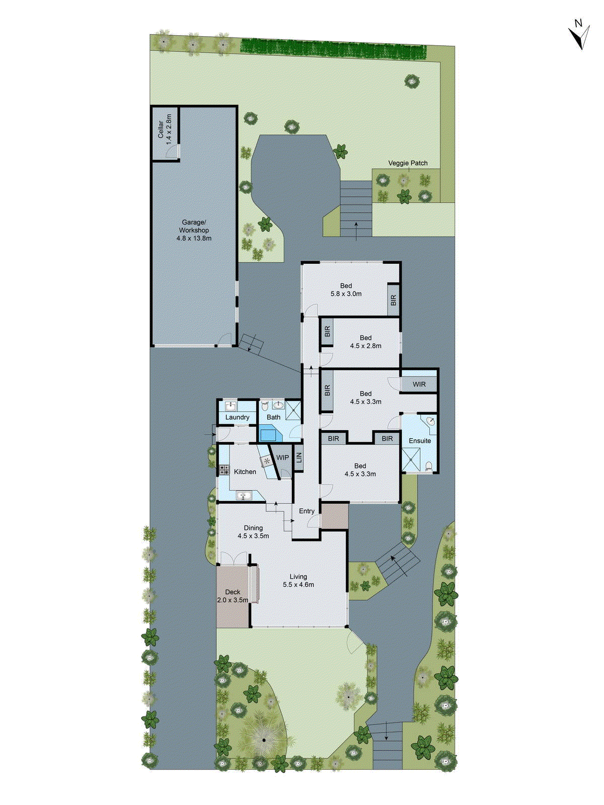 50 Nantes Street, Newtown VIC 3220 - Floorplan