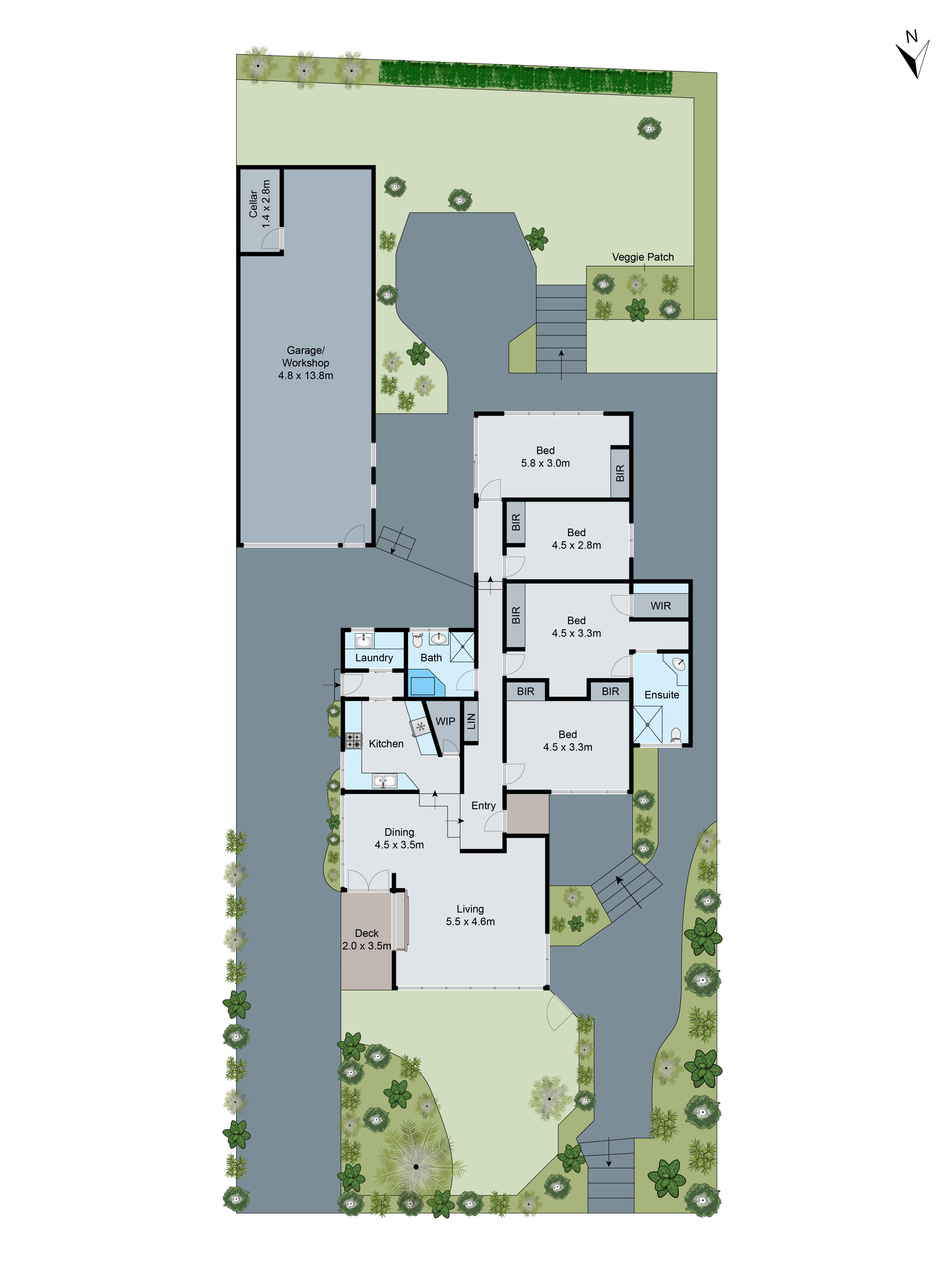 50 Nantes Street, NEWTOWN VIC 3220 - Floorplan