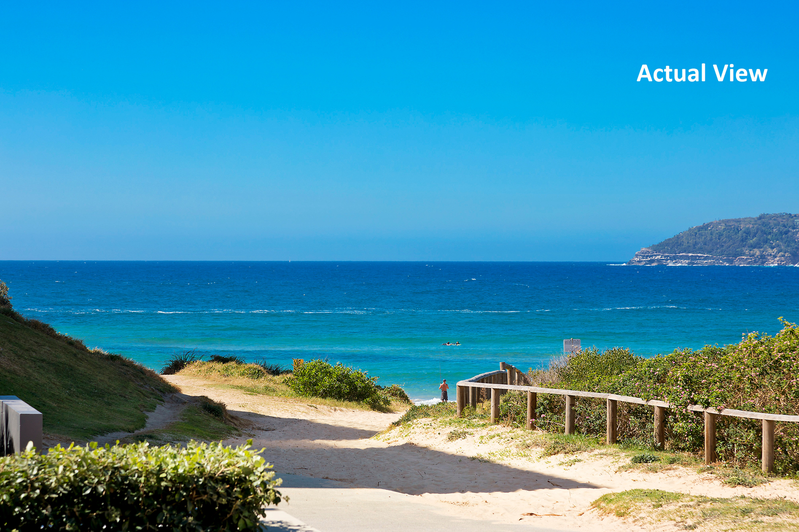 50 Ocean View Road, Freshwater NSW 2096