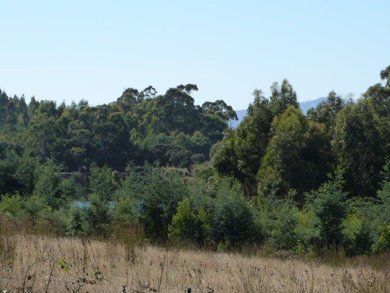 510 Dam Road, SALTWATER RIVER, TAS, 7186