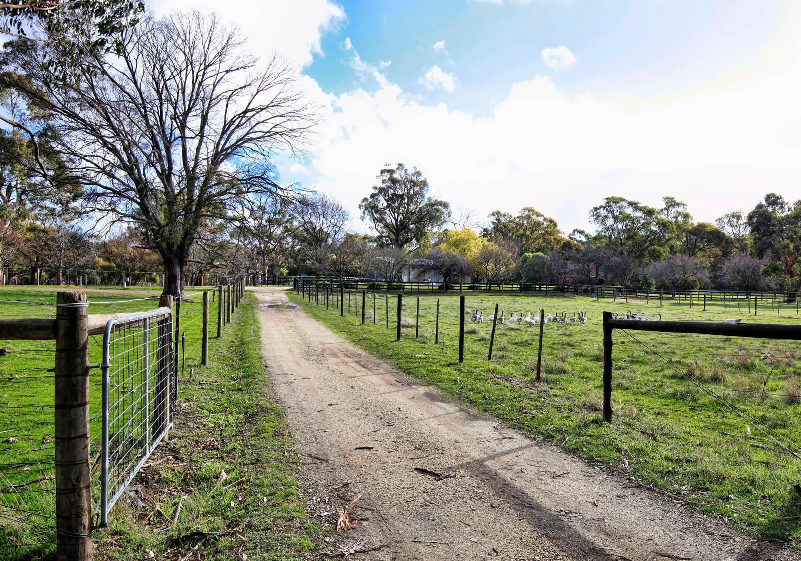 519 Romsey Road, Woodend RT Edgar