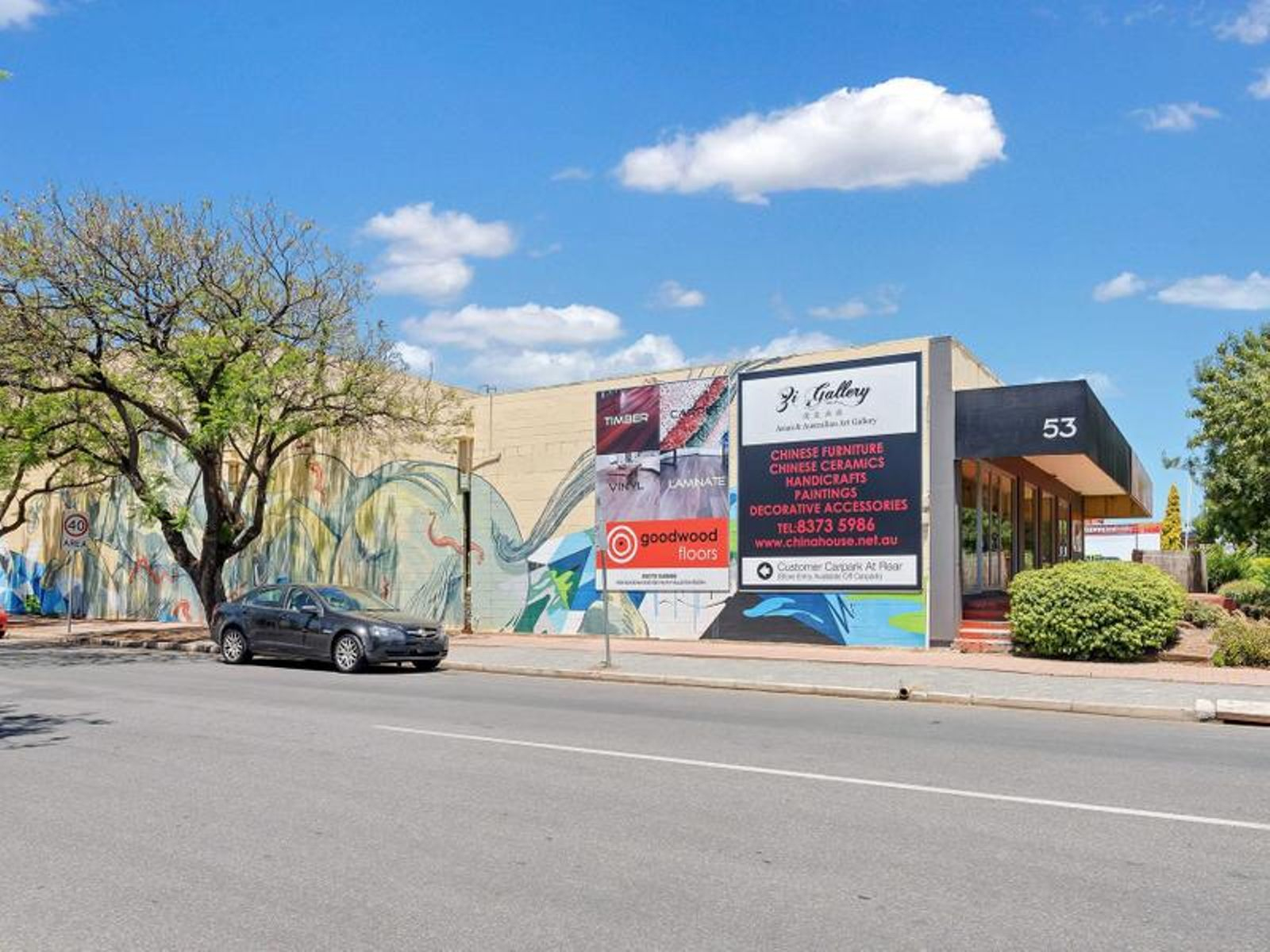 53 Goodwood Road, WAYVILLE SA 5034