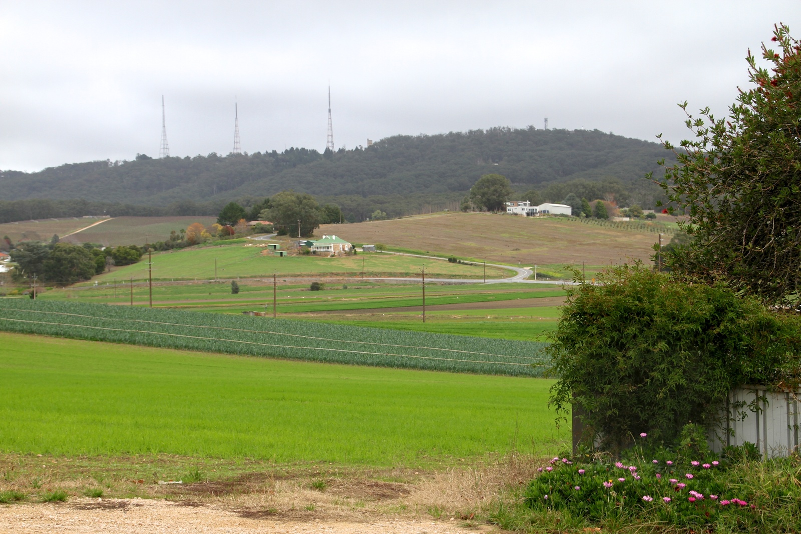 54 Swamp Road, Uraidla SA 5142