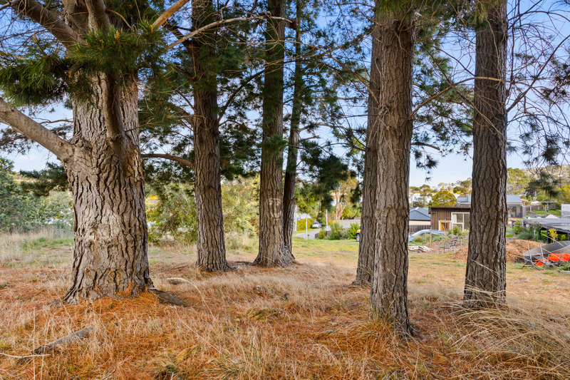 58 Erle Street, Carlton River, TAS, 7173