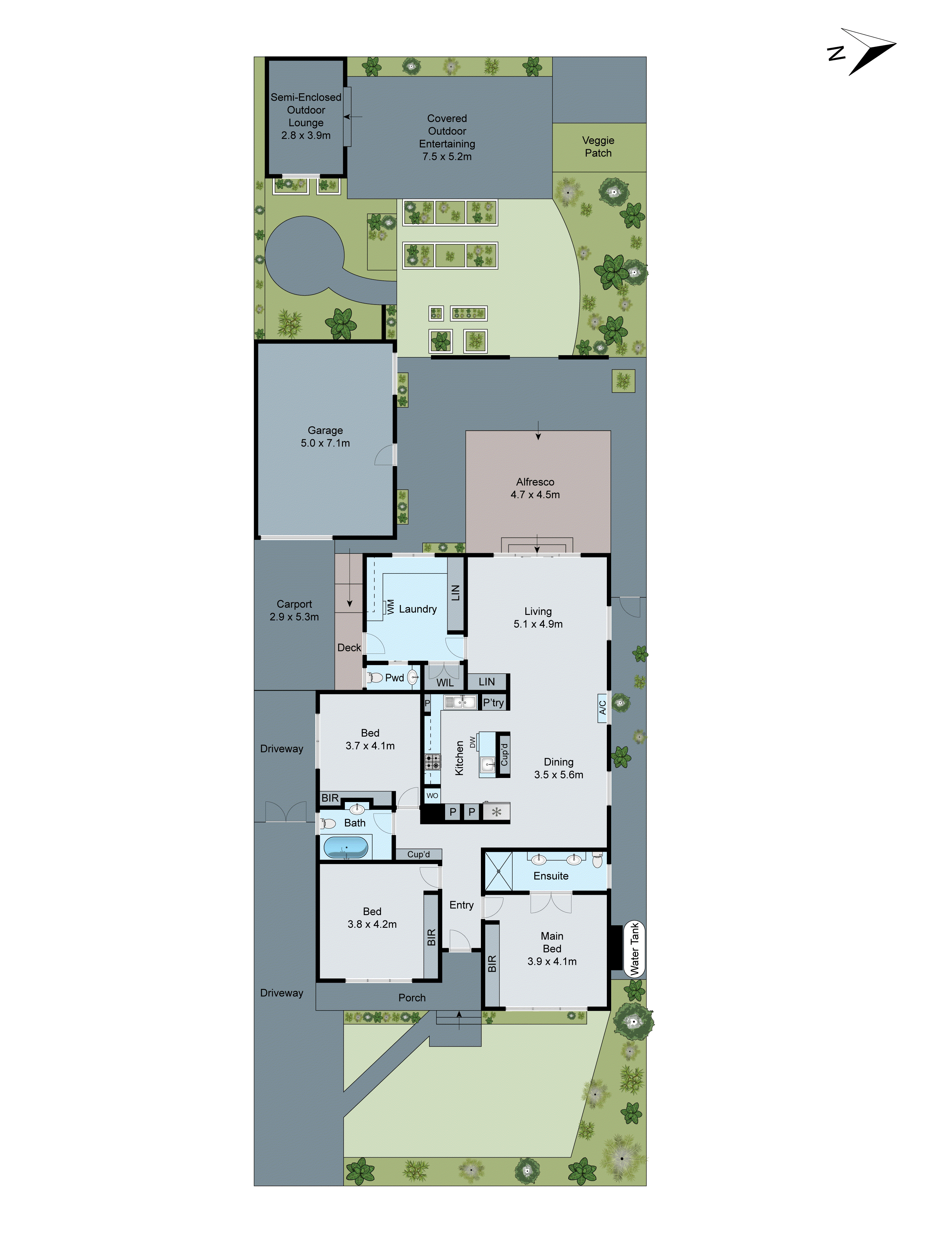 59 Saywell Street, North Geelong VIC 3215 - Floorplan