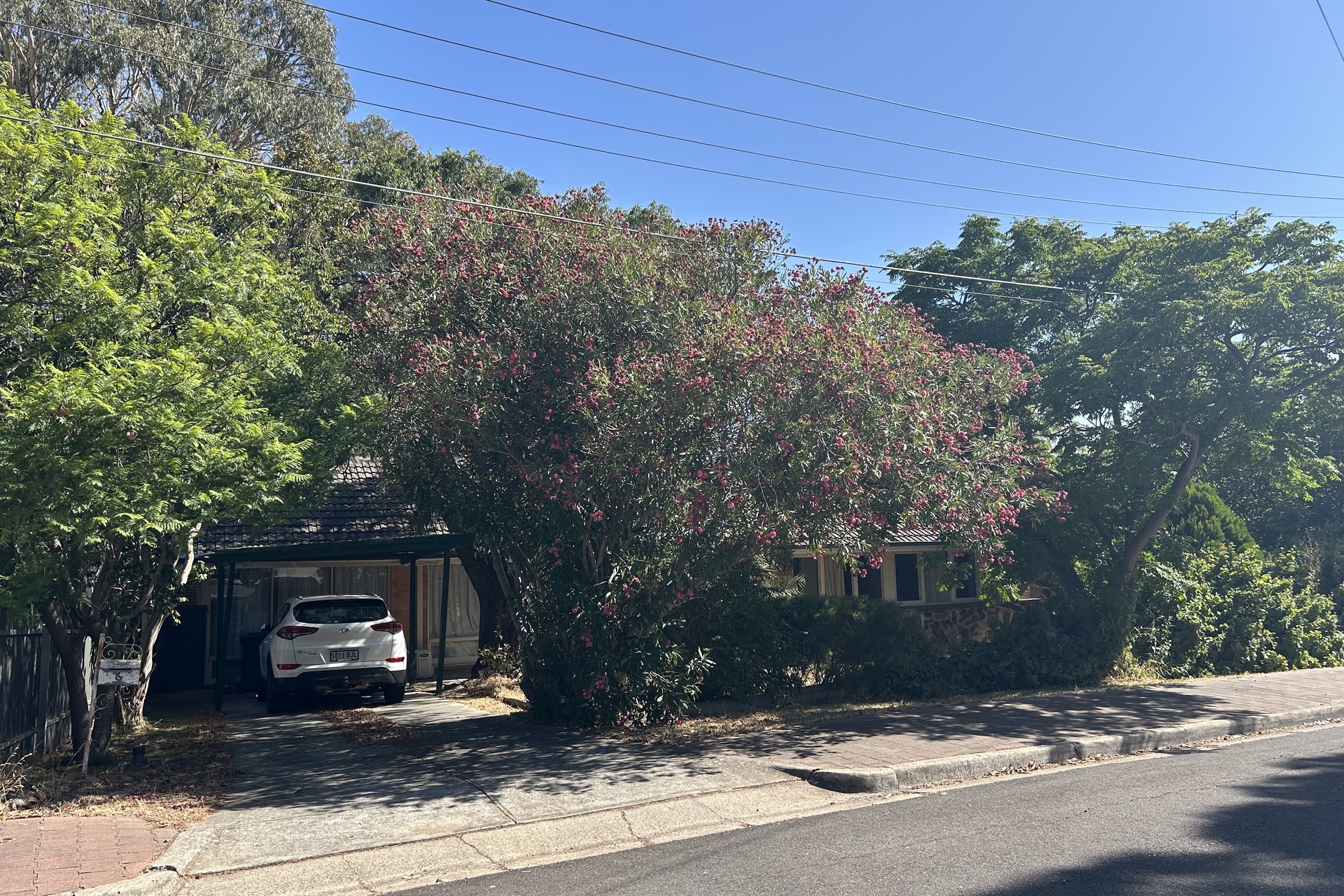 6 Clarence Drive